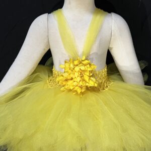 Bright Yellow Tutu Image