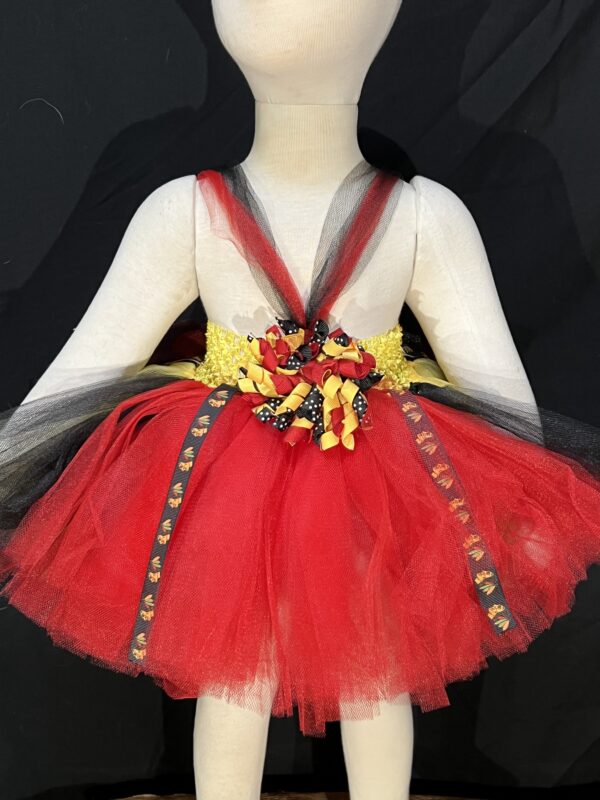 Chicago Blackhawks Tutu Image