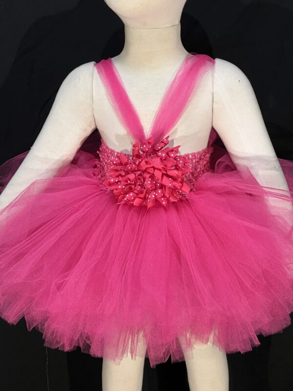 Fuscia Tutu Image