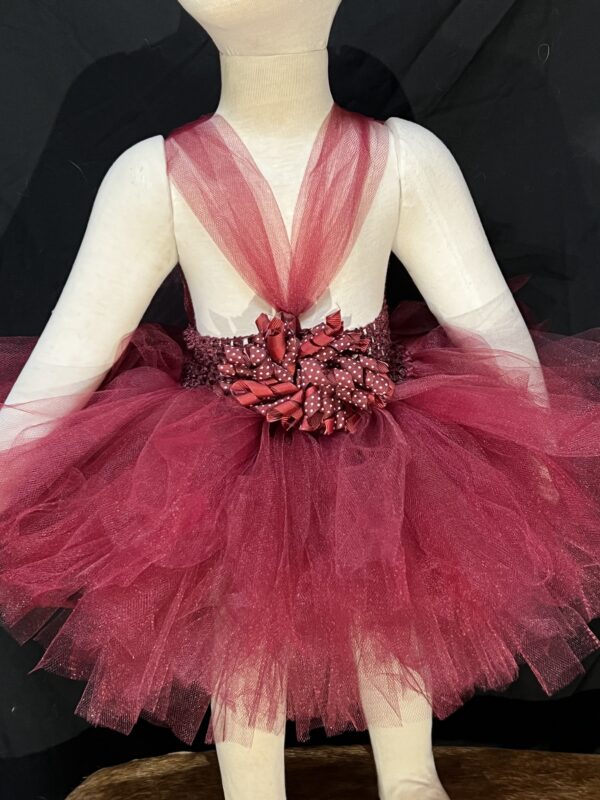 Maroon Tutu Image
