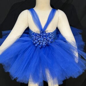Royal Blue Tutu Image