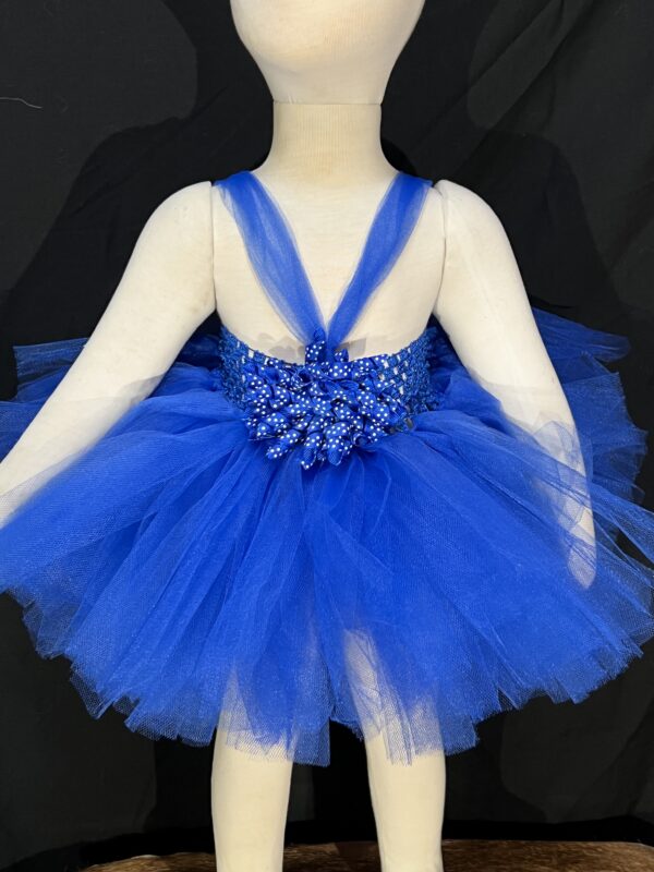 Royal Blue Tutu Image